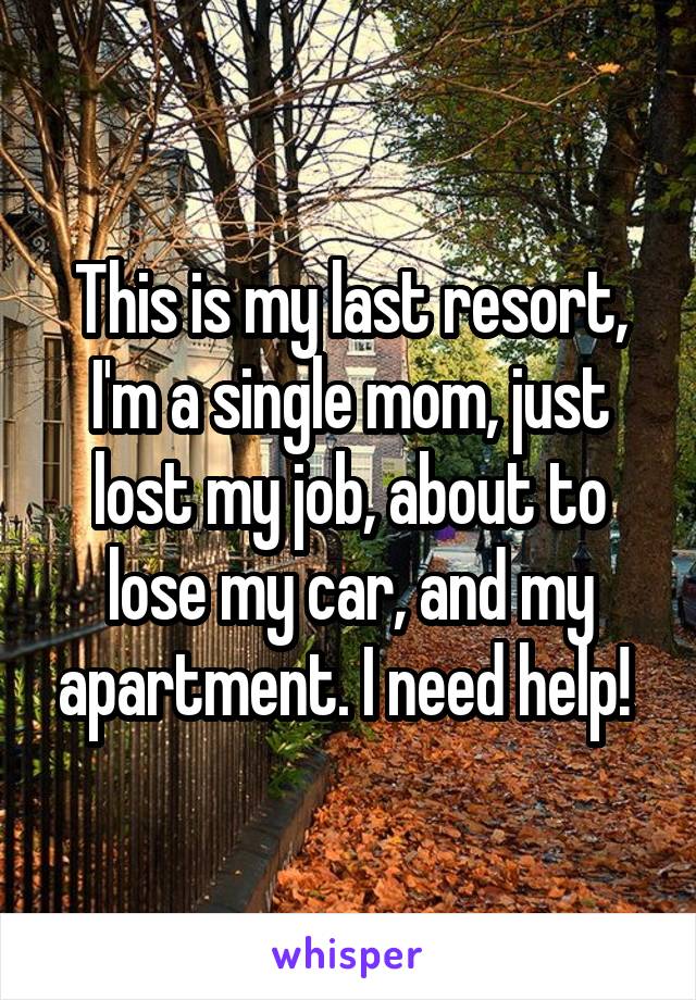 This is my last resort, I'm a single mom, just lost my job, about to lose my car, and my apartment. I need help! 