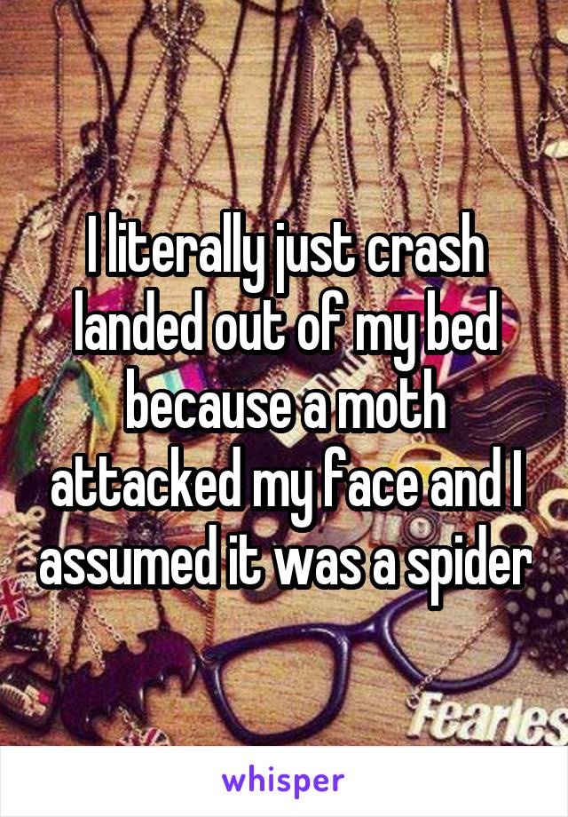 I literally just crash landed out of my bed because a moth attacked my face and I assumed it was a spider