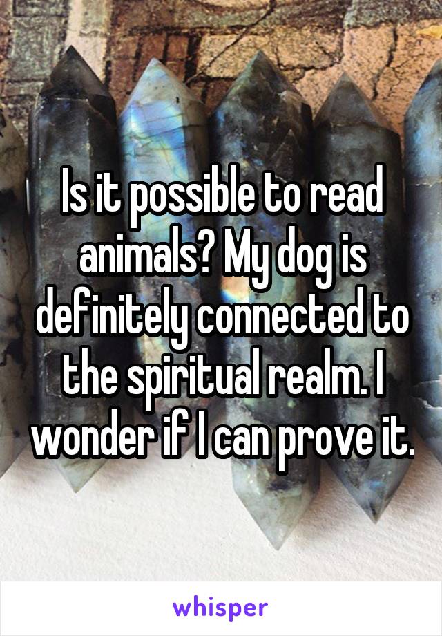 Is it possible to read animals? My dog is definitely connected to the spiritual realm. I wonder if I can prove it.