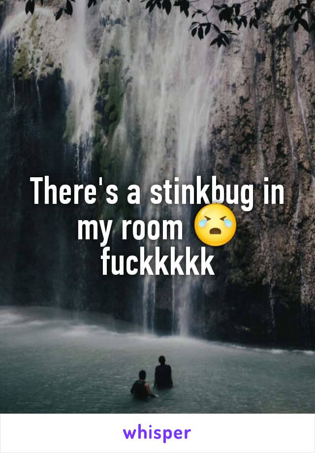 There's a stinkbug in my room 😭fuckkkkk