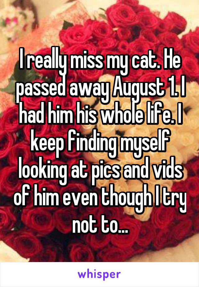 I really miss my cat. He passed away August 1. I had him his whole life. I keep finding myself looking at pics and vids of him even though I try not to...