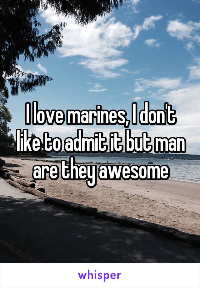 I love marines, I don't like to admit it but man are they awesome