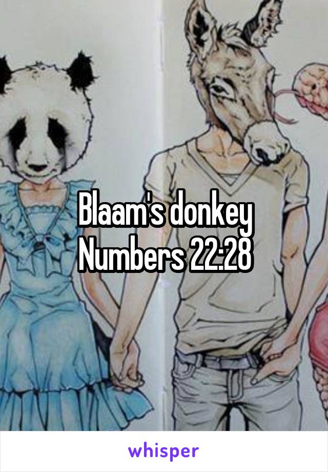 Blaam's donkey
Numbers 22:28