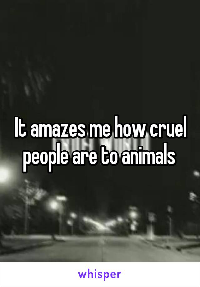 It amazes me how cruel people are to animals 