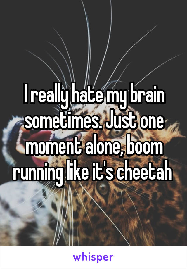 I really hate my brain sometimes. Just one moment alone, boom running like it's cheetah 