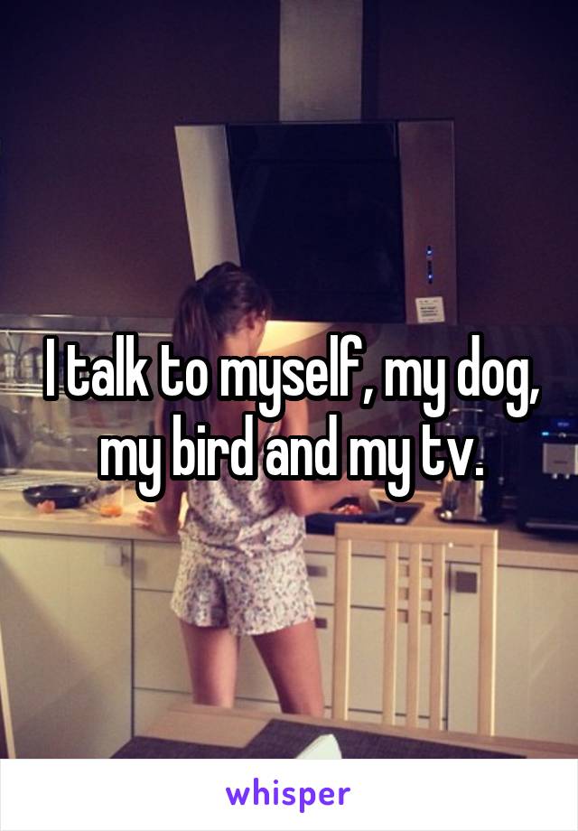 I talk to myself, my dog, my bird and my tv.