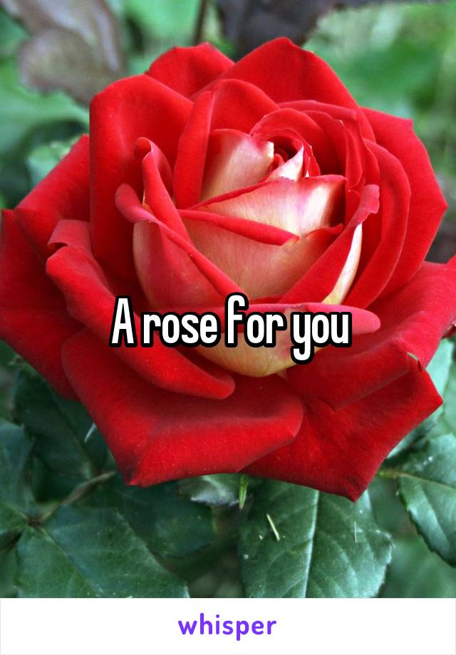 A rose for you