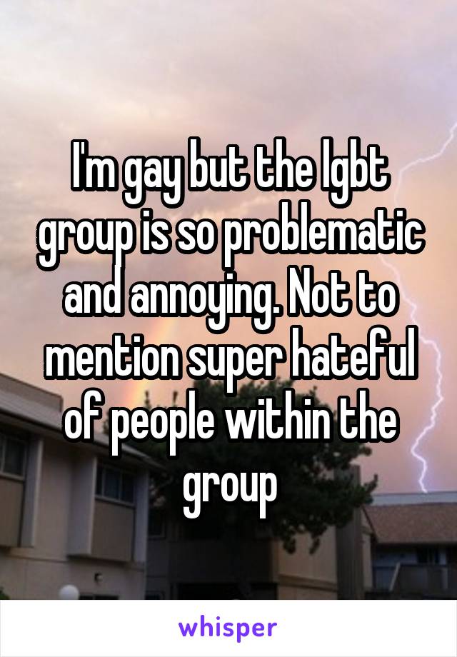 I'm gay but the lgbt group is so problematic and annoying. Not to mention super hateful of people within the group