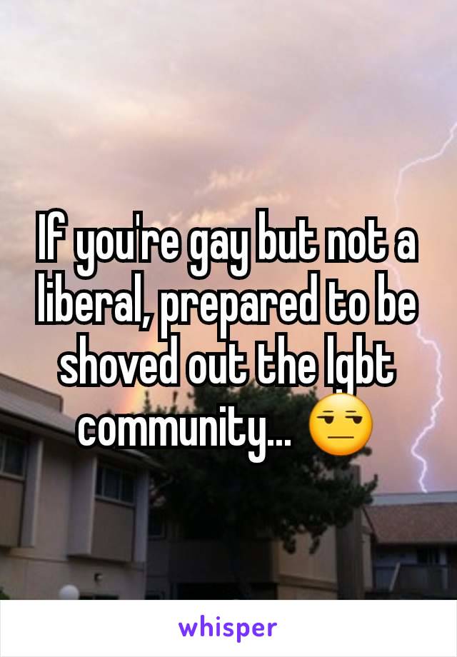 If you're gay but not a liberal, prepared to be shoved out the lgbt community... 😒