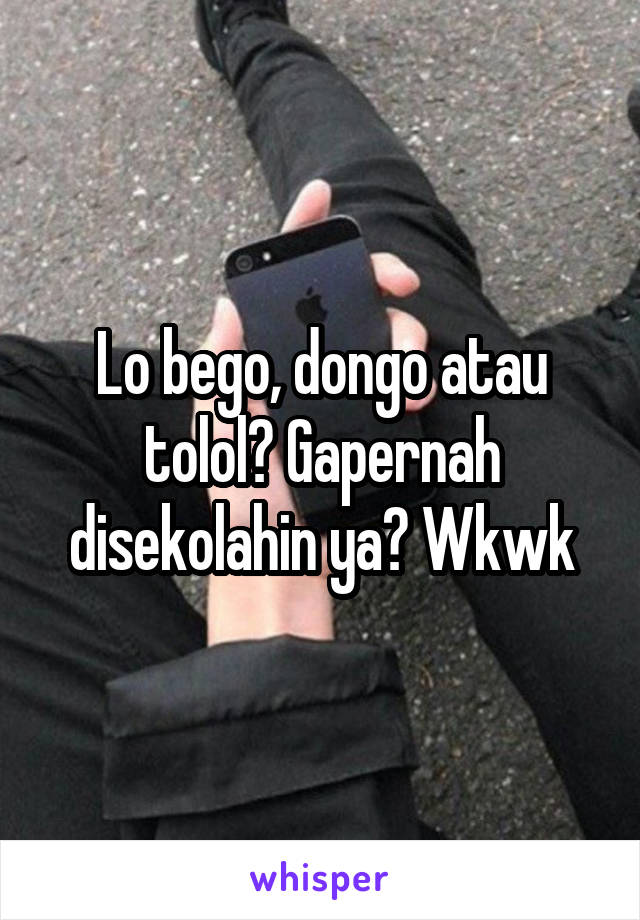 Lo bego, dongo atau tolol? Gapernah disekolahin ya? Wkwk