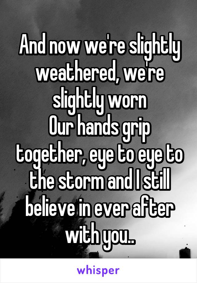 And now we're slightly weathered, we're slightly worn
Our hands grip together, eye to eye to the storm and I still believe in ever after with you..