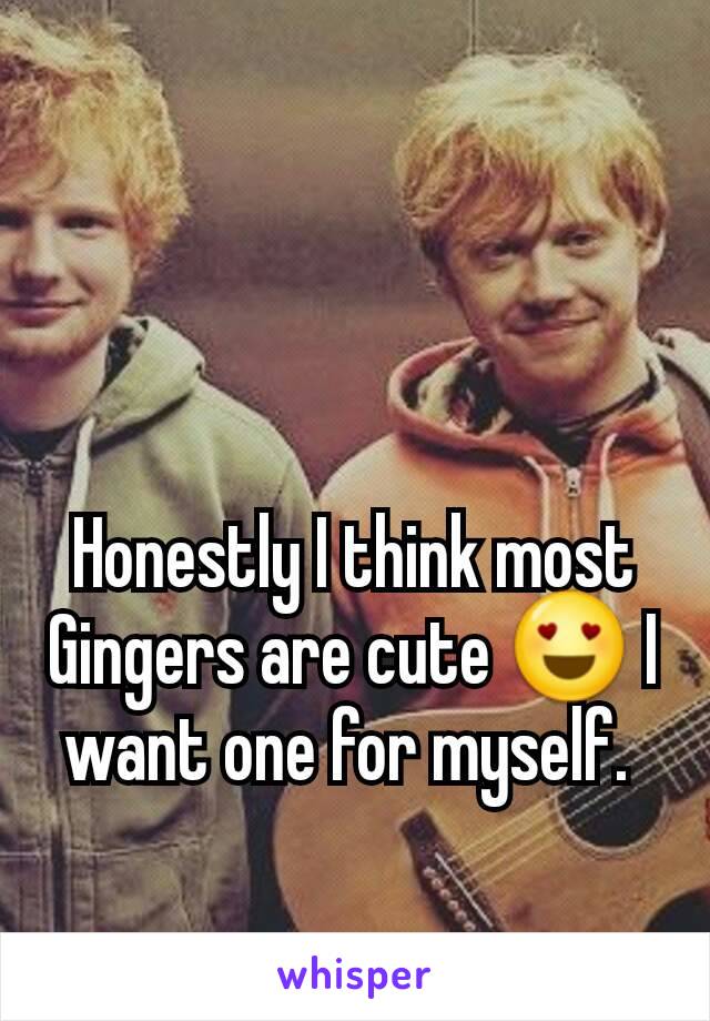 Honestly I think most
Gingers are cute 😍 I want one for myself. 