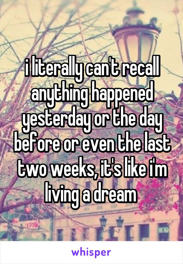 i literally can't recall anything happened yesterday or the day before or even the last two weeks, it's like i'm living a dream 