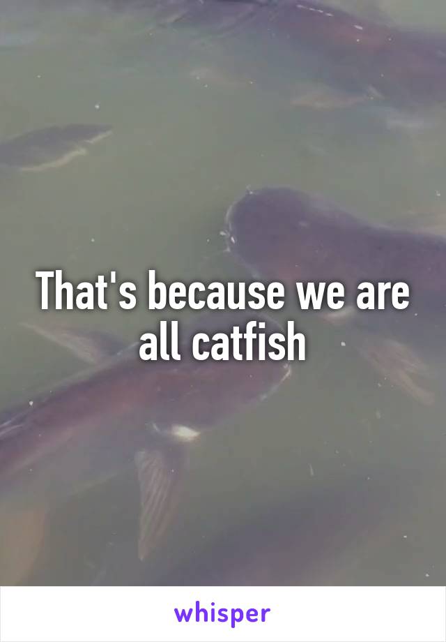 That's because we are all catfish