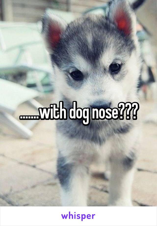 .......with dog nose???