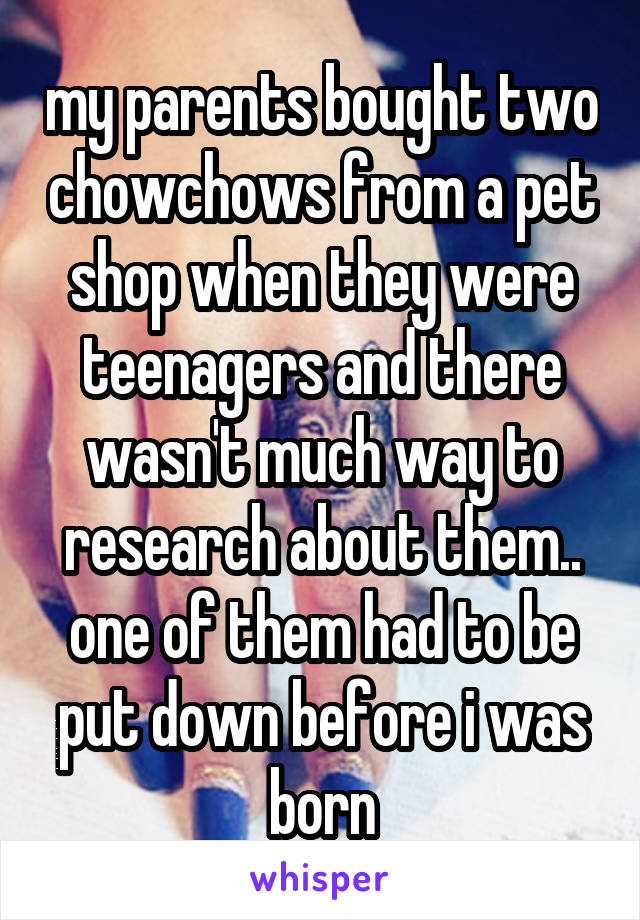 my parents bought two chowchows from a pet shop when they were teenagers and there wasn't much way to research about them.. one of them had to be put down before i was born