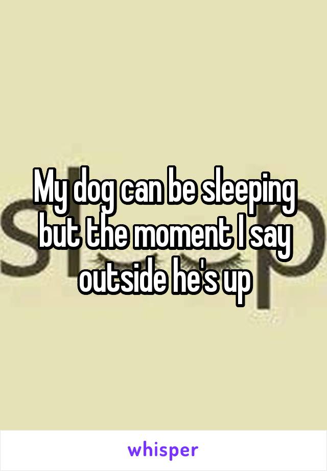 My dog can be sleeping but the moment I say outside he's up