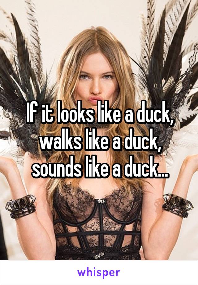 If it looks like a duck, walks like a duck, sounds like a duck...