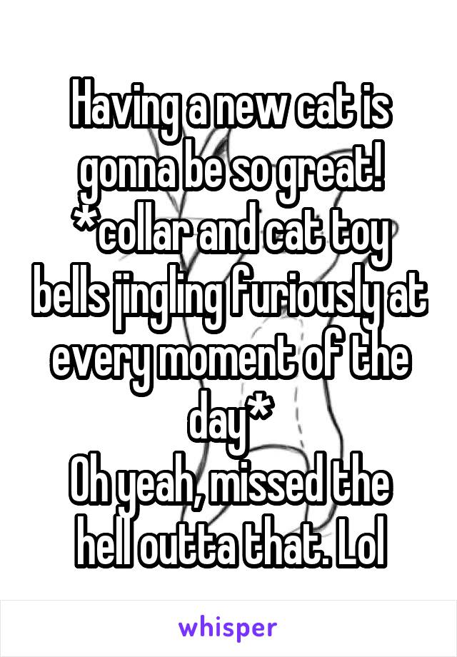 Having a new cat is gonna be so great!
*collar and cat toy bells jingling furiously at every moment of the day*
Oh yeah, missed the hell outta that. Lol