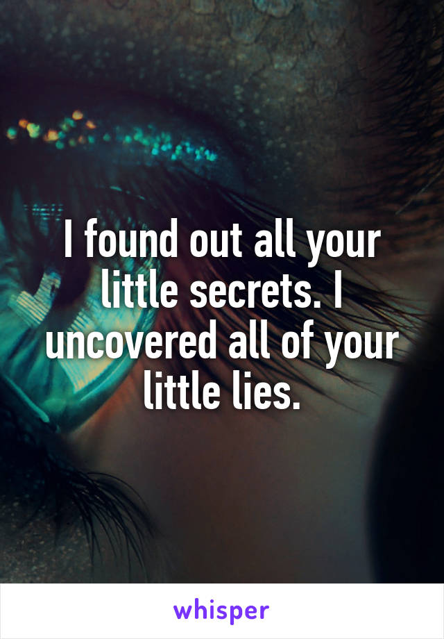 I found out all your little secrets. I uncovered all of your little lies.