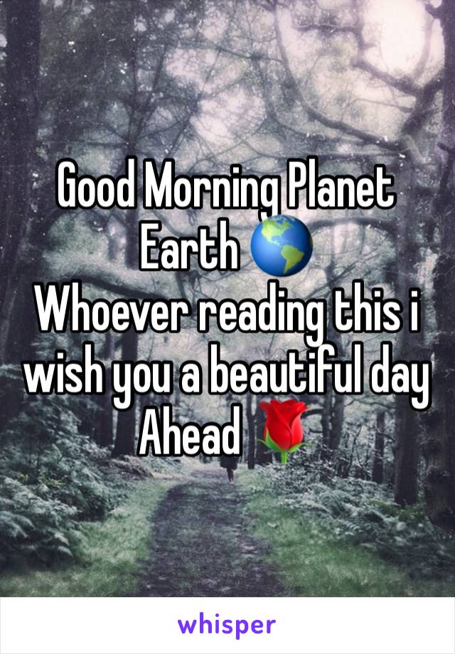 Good Morning Planet Earth 🌎
Whoever reading this i wish you a beautiful day Ahead 🌹