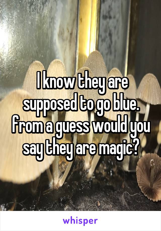  I know they are supposed to go blue. from a guess would you say they are magic?