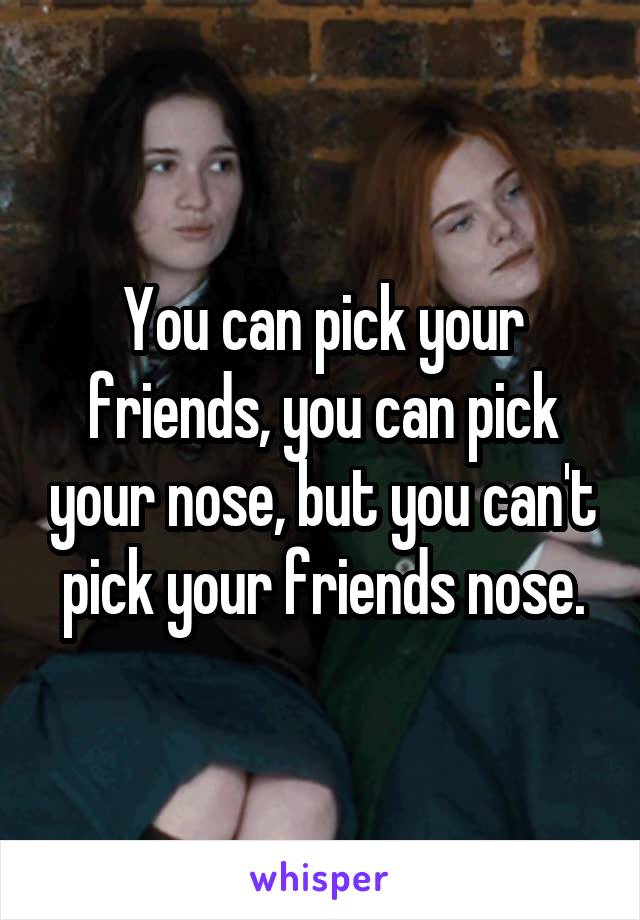 You can pick your friends, you can pick your nose, but you can't pick your friends nose.