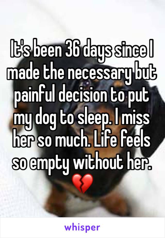 It's been 36 days since I made the necessary but painful decision to put my dog to sleep. I miss her so much. Life feels so empty without her. 💔