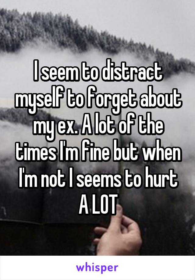 I seem to distract myself to forget about my ex. A lot of the times I'm fine but when I'm not I seems to hurt A LOT