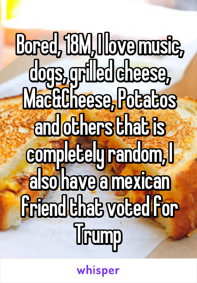 Bored, 18M, I love music, dogs, grilled cheese, Mac&Cheese, Potatos and others that is completely random, I also have a mexican friend that voted for Trump 