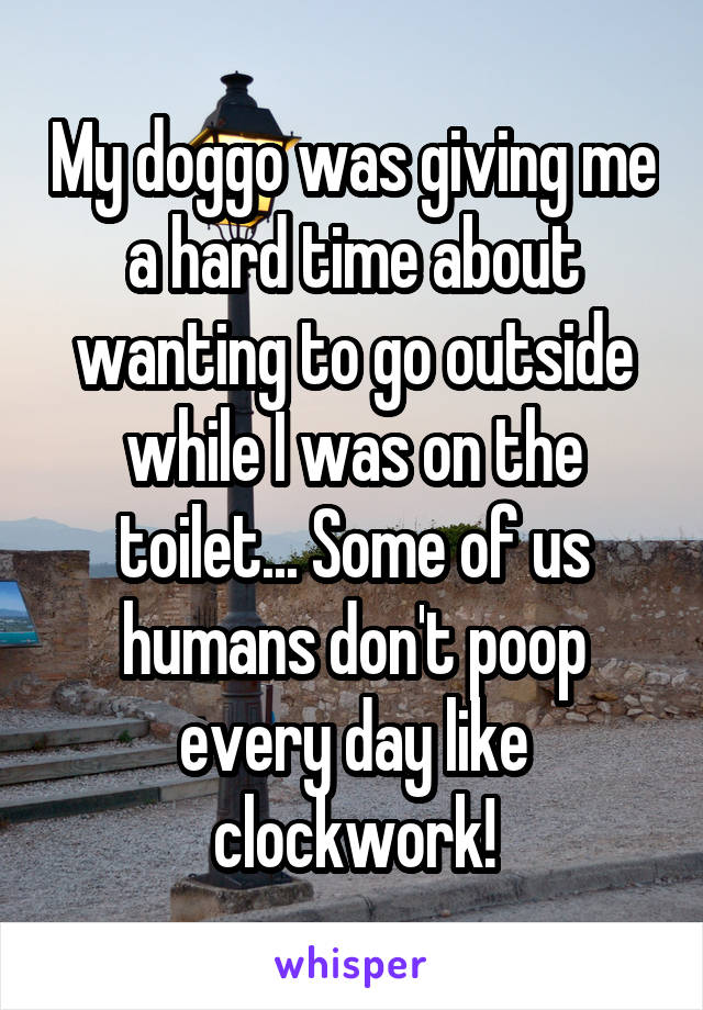 My doggo was giving me a hard time about wanting to go outside while I was on the toilet... Some of us humans don't poop every day like clockwork!