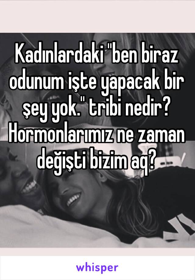 Kadınlardaki "ben biraz odunum işte yapacak bir şey yok." tribi nedir? Hormonlarımız ne zaman değişti bizim aq?