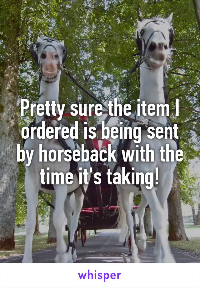 Pretty sure the item I ordered is being sent by horseback with the time it's taking!