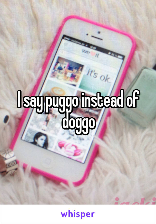 I say puggo instead of doggo