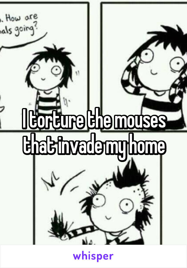 I torture the mouses that invade my home