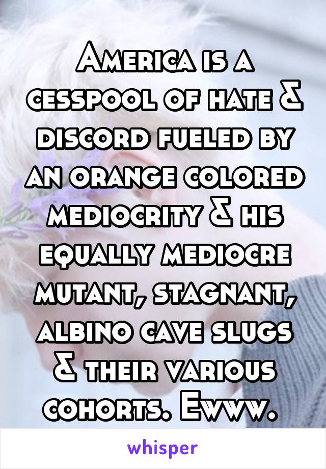 America is a cesspool of hate & discord fueled by an orange colored mediocrity & his equally mediocre mutant, stagnant, albino cave slugs & their various cohorts. Ewww. 