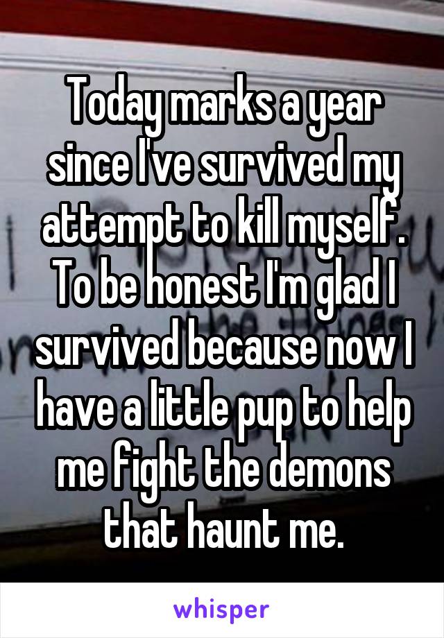 Today marks a year since I've survived my attempt to kill myself. To be honest I'm glad I survived because now I have a little pup to help me fight the demons that haunt me.