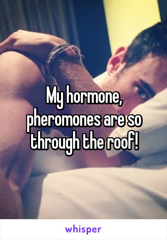 My hormone, pheromones are so through the roof!