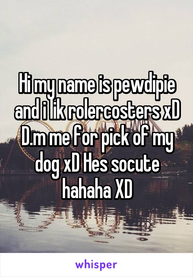 Hi my name is pewdipie and i lik rolercosters xD D.m me for pick of my dog xD Hes socute hahaha XD