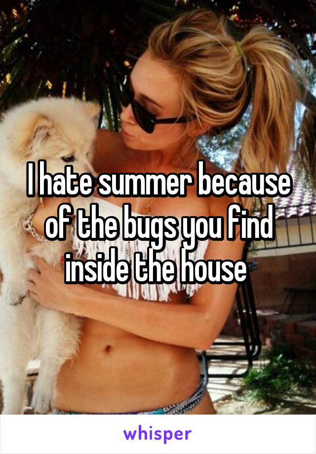 I hate summer because of the bugs you find inside the house 