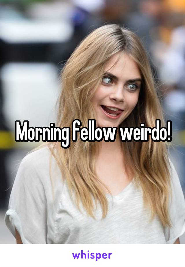 Morning fellow weirdo!