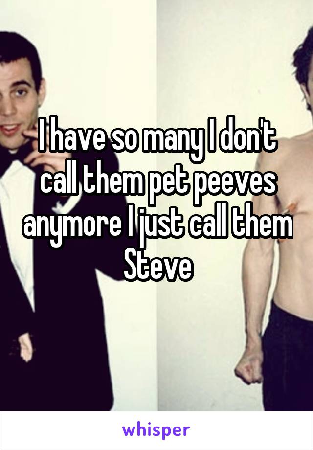 I have so many I don't call them pet peeves anymore I just call them Steve
