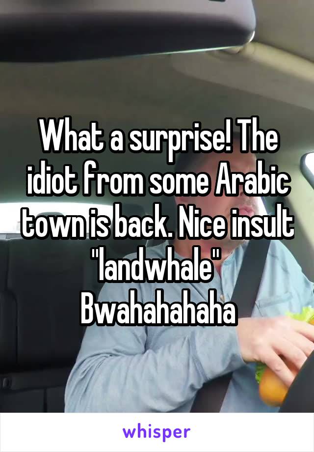 What a surprise! The idiot from some Arabic town is back. Nice insult "landwhale" 
Bwahahahaha