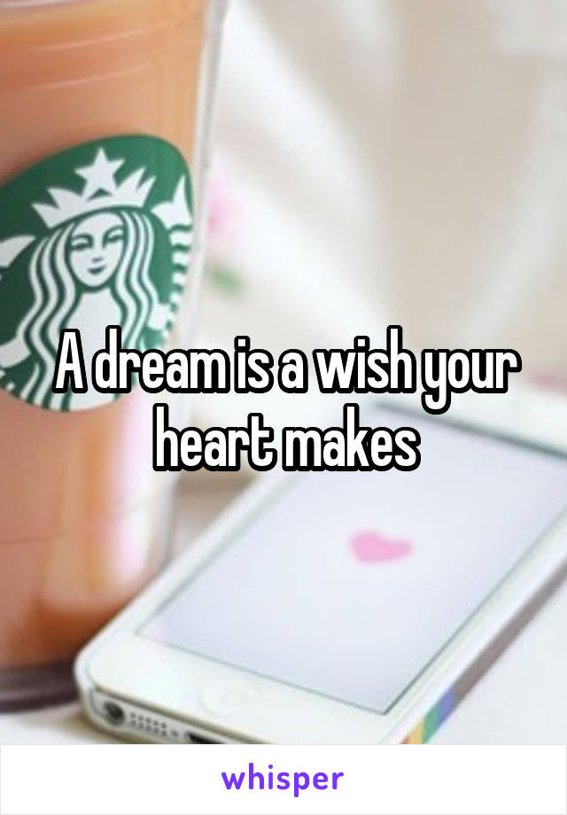 A dream is a wish your heart makes