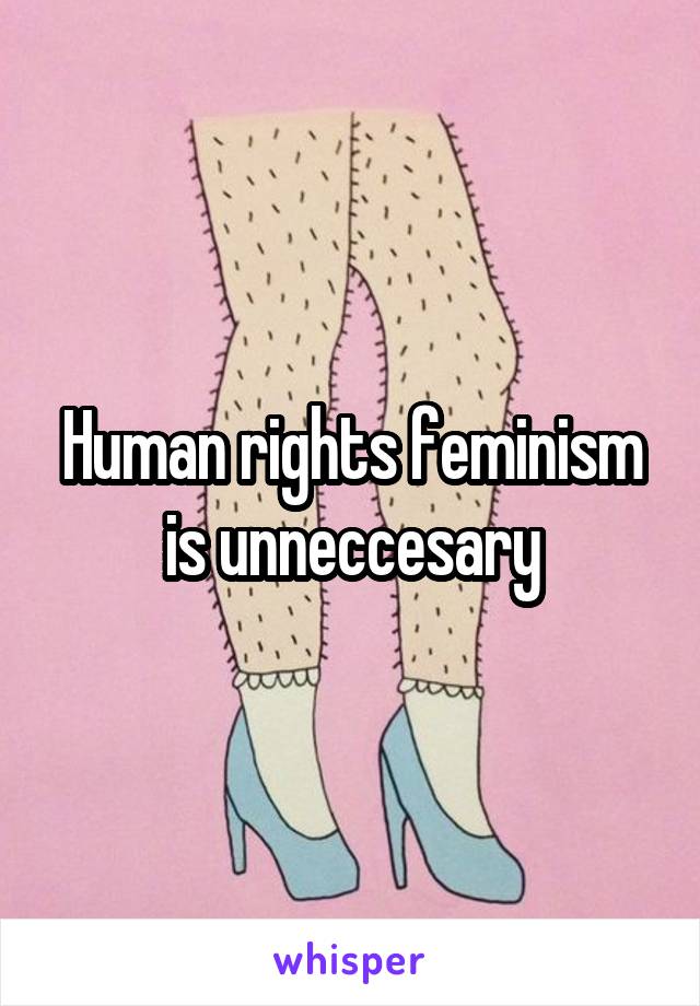 Human rights feminism is unneccesary