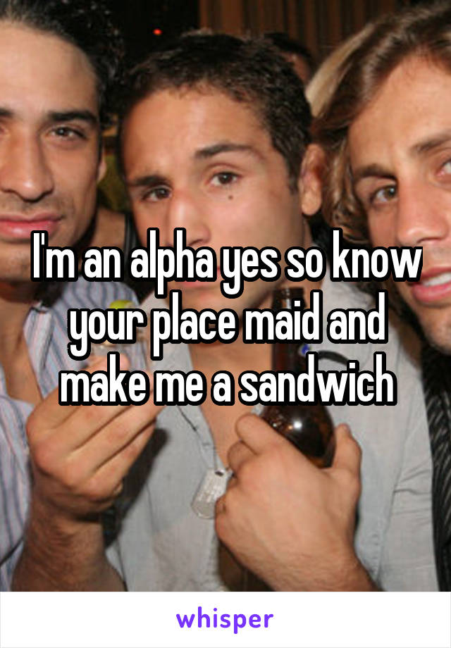 I'm an alpha yes so know your place maid and make me a sandwich