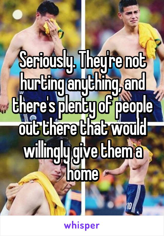 Seriously. They're not hurting anything, and there's plenty of people out there that would willingly give them a home