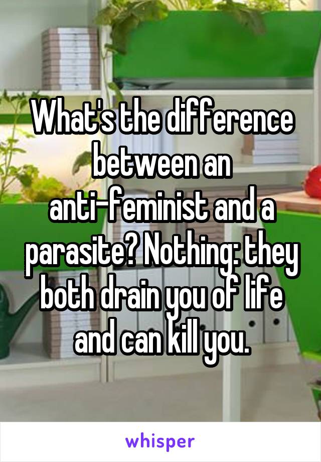 What's the difference between an anti-feminist and a parasite? Nothing: they both drain you of life and can kill you.