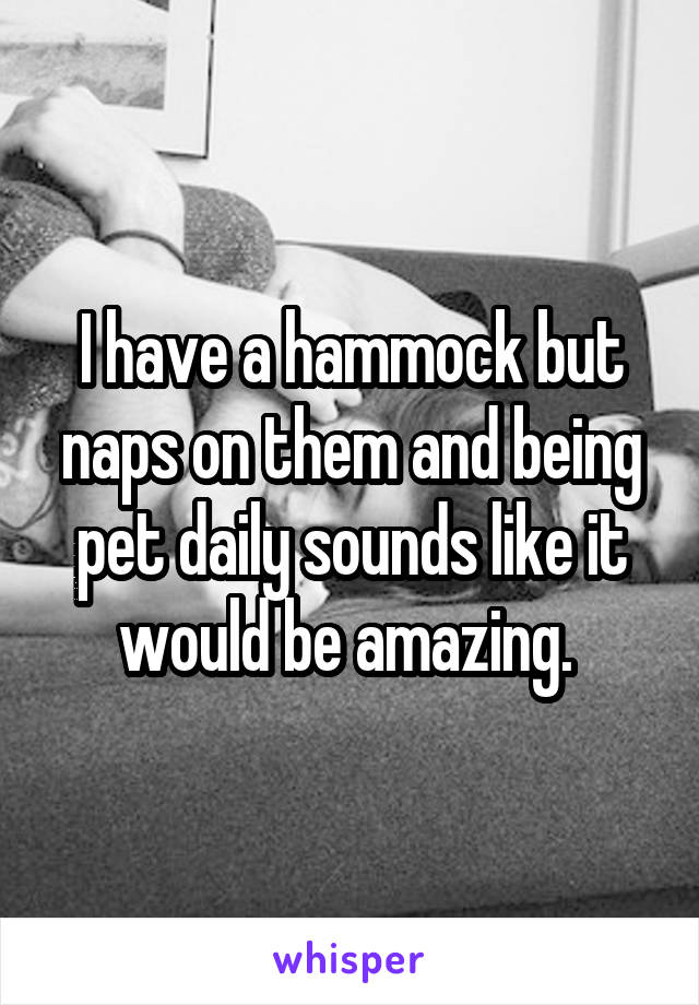 I have a hammock but naps on them and being pet daily sounds like it would be amazing. 