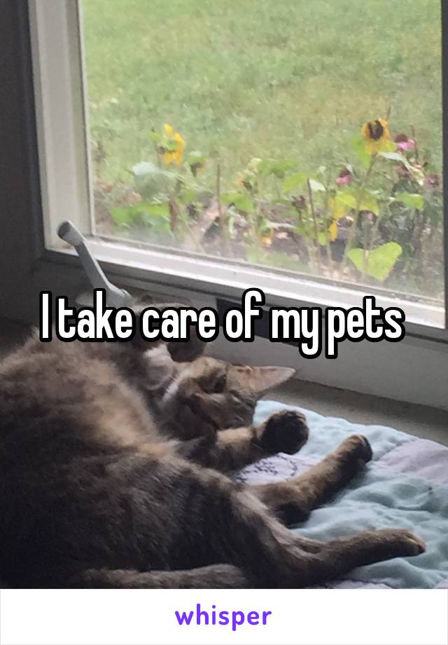 I take care of my pets 